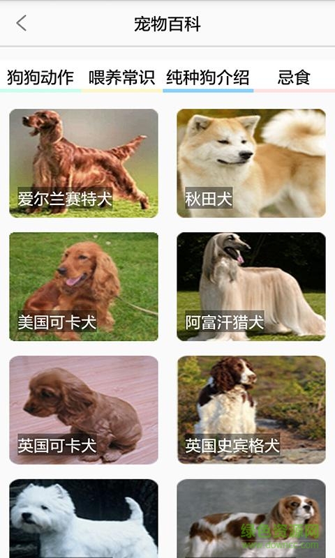 宠e行app(养狗助手) v1.0 安卓版3