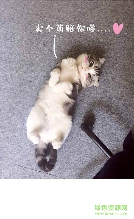 至尊萌宠表情包 0