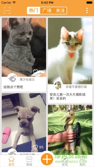 人人宠(宠物社区) v3.10.1 安卓版3