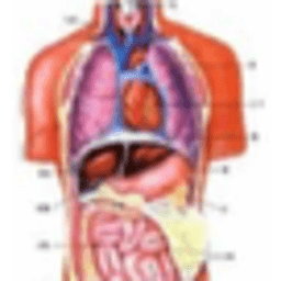 3D解剖助手针灸穴位版