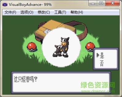 口袋妖怪绿宝石精灵学院 新生代改版0