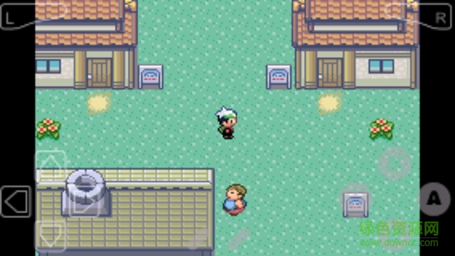 口袋妖怪绿宝石精装版 v6.3.0 安卓汉化版3