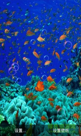 3D海底世界动态壁纸手机壁纸 v6.4 安卓版1