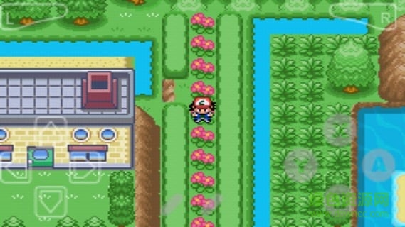 口袋妖怪-漆黑的魅影修改版 v2.1 安卓版2