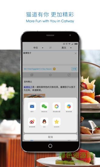 猫道美食翻译 v1.0 安卓版2