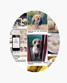 格子饺子iphone版 格子饺子iphone版