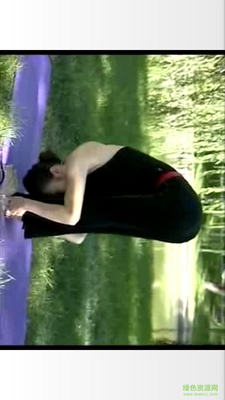 每日瑜伽教程 v2.5 安卓版3