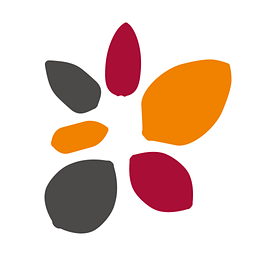 天风证券高财生手机版