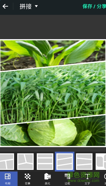 photo grid相片组合新版 v6.76 安卓版1