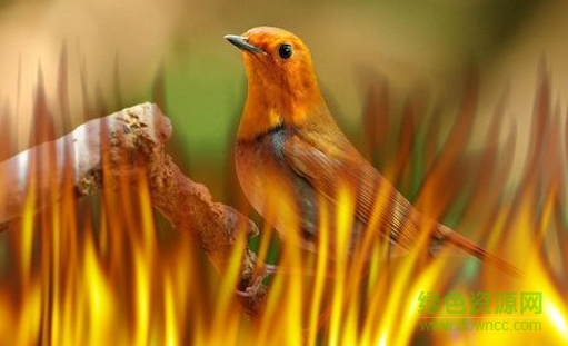 Photoshop eye candy 4000滤镜 免装版0