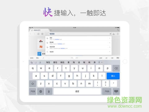2345王牌浏览器ipad版 v2.8 官方ios版1