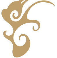 紫峰抢单软件(抢单神器)