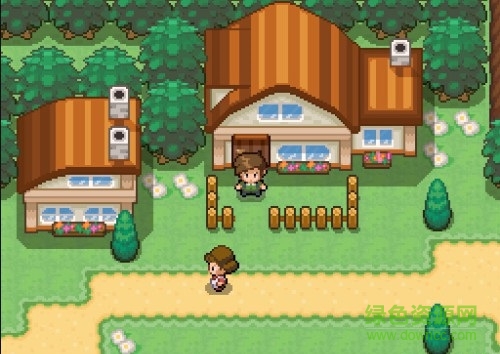 口袋妖怪绿铀中文版(Pokemon Uranium) 免安装正式版2