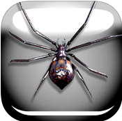 蜘蛛恶作剧简版ios版