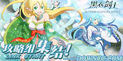 刀剑神域黑衣剑士