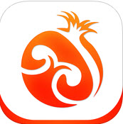 石榴阅读ios版下载