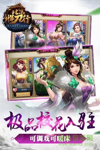 北凉悍刀行手游九游版 v2.28 安卓版2