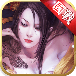 9665无双战国手游