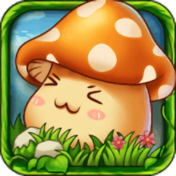 冒险战纪多酷版