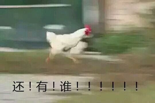 一只公鸡奔跑的表情包