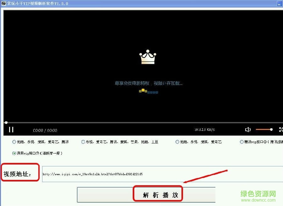 掌玩小子VIP视频解析软件 v1.0 绿色免费版0