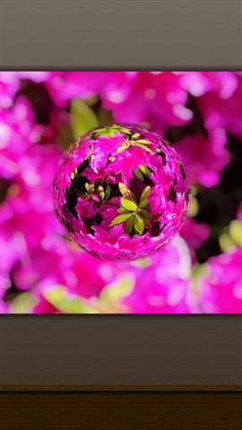 弹珠相机marblecam apk v6.6.6 安卓版3