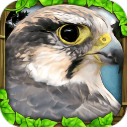 终极猎鹰模拟器(FalconSim)