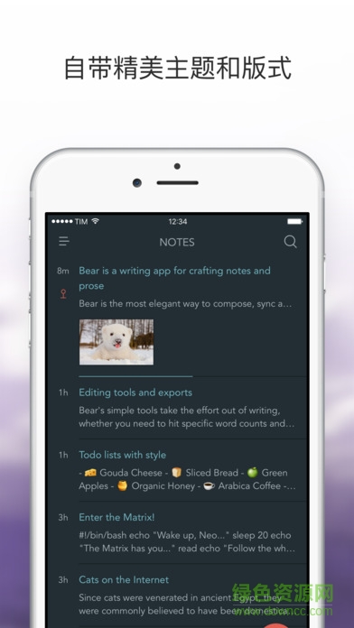 bear熊掌记 ios版 v1.9 苹果iphone手机版3