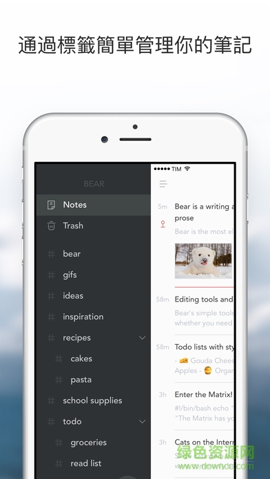 bear熊掌记 ios版 v1.9 苹果iphone手机版1