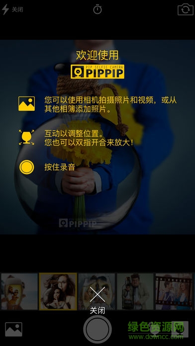 pippip软件 pippip软件