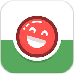 口袋小球游戏(pktball)