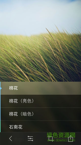 litely调色软件 v1.0 安卓版1