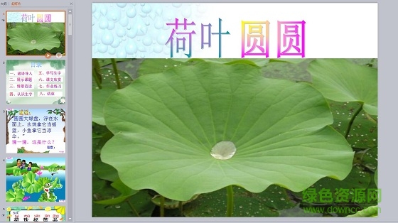 荷叶圆圆ppt课件教案 0