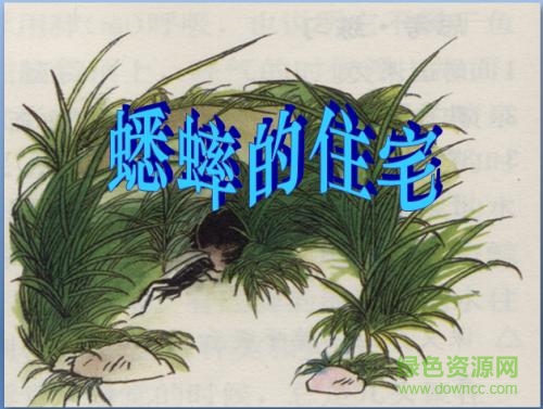 蟋蟀的住宅ppt完美版