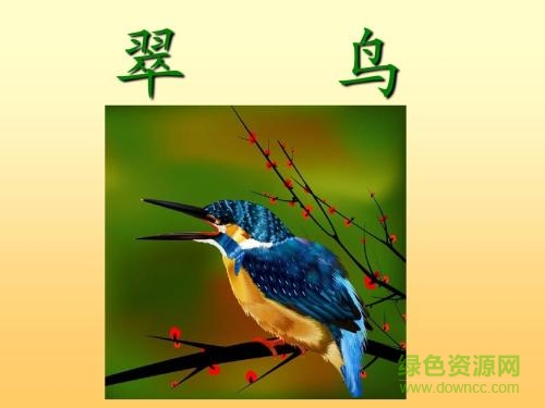 翠鸟免费ppt课件 0