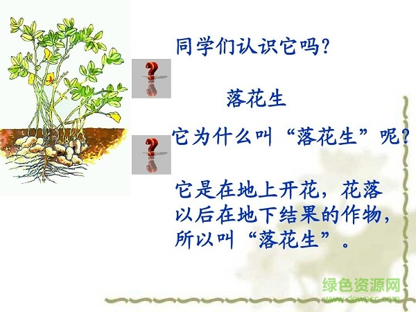 落花生ppt课件完美版