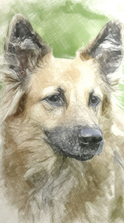 Artomaton人工智能的画家软件 v3.0.1 安卓版1