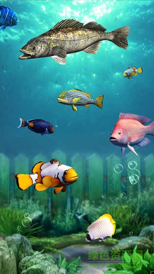 钓鱼梦想之旅苹果无限钻石版 v1.6 iphone版2