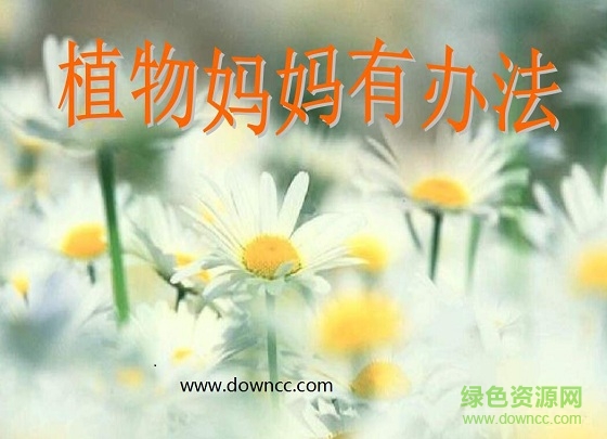 植物妈妈有办法件ppt课件 0