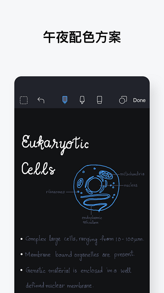 noteshelf苹果手机版 v8.8.13 官方版1