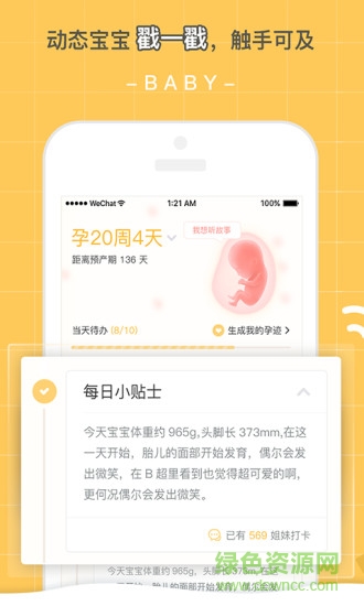孕迹暖暖 v5.2.0 安卓版2