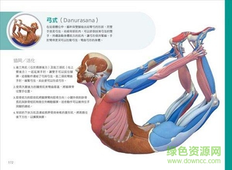 瑜伽3d解剖书 电子版