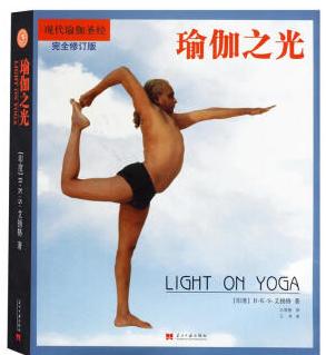 瑜伽之光 电子书 0