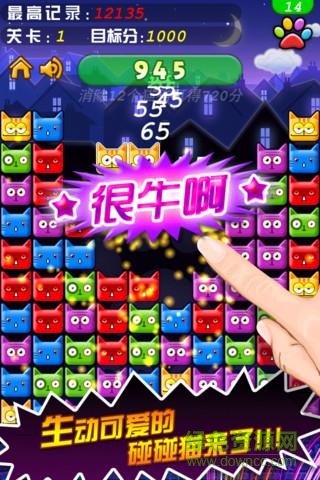 碰碰猫对对碰 v1.0 安卓版1
