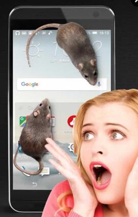 3D大鼠在屏幕上(手机屏幕上养老鼠) v1.4 安卓中文版1