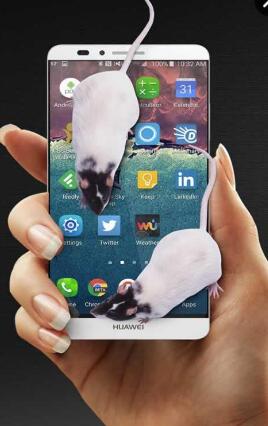 3D大鼠在屏幕上(手机屏幕上养老鼠) v1.4 安卓中文版2