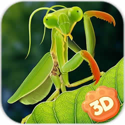 螳螂模拟器游戏