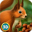 森林松鼠模拟器