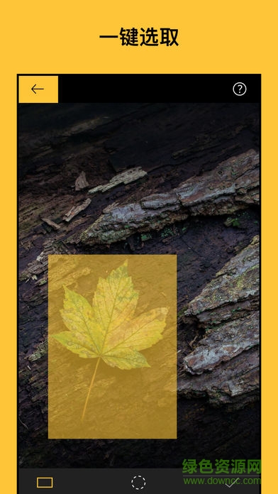 泼辣调色大师手机版 v2.1.1 安卓版0