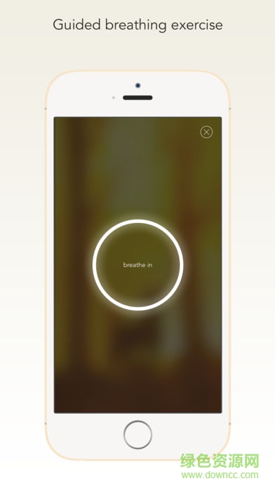 wildfulness2正式版 v1.0.9 安卓版3